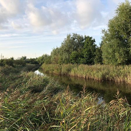 Westkapelle Comfortabele Strandkamer Aan De Kreek Εξωτερικό φωτογραφία